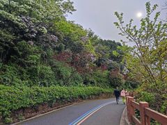 -杭州半山国家森林公园