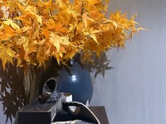 -Dragonfly 悠庭·按摩Spa(苏州中心广场店)