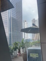 -恒妍医美·韩国定制抗衰中心