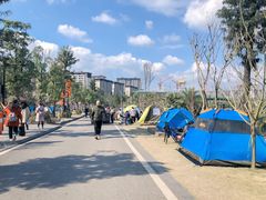 -枫香湖儿童公园