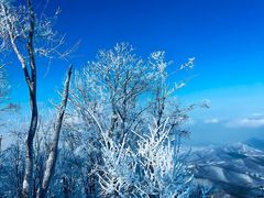 -中旅松花湖滑雪场
