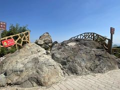 -北京西山国家森林公园