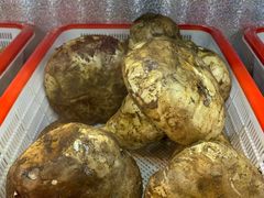 -菌海森林·非遗野生菌火锅(西山区滇池路摩根道店)