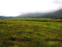 iphone_upload_pic-腾冲北海湿地