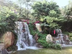 -广州市帽峰山景区