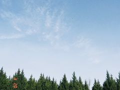 -汉长安城未央宫国家考古遗址公园