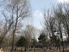 -东升文体公园