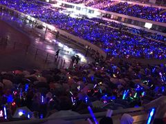 -南京奥林匹克体育中心-体育馆