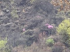 -黑龙潭风景区