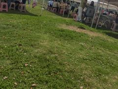 -梁子湖东篱老屋生态庄园