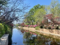 -元大都城垣遗址公园