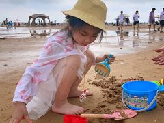 -日照海滨国家森林公园