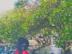 -宝安西湾红树林湿地公园