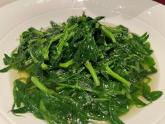 清炒豌豆尖-冰火楼(梦泽园店)