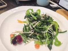 京菇拌菠菜-勺园中餐厅
