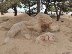 -老虎石海上公园