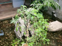 -邈墨茶馆(凤起路店)