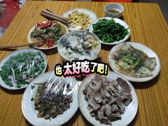 -优护优家Ucare月嫂育儿嫂陪伴师(静安店)
