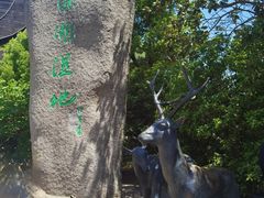 -溱湖国家湿地公园