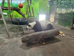 -柳州市动物园