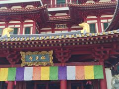 -新加坡佛牙寺龙华院