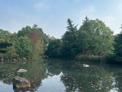 -白马涧龙池景区