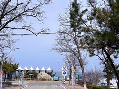 -养马岛旅游度假区