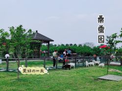 -太湖雪蚕桑文化园
