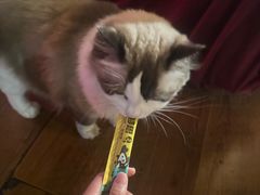 -南京天堂隔壁酒吧