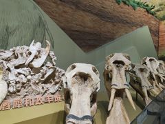 -柳州白莲洞洞穴科学博物馆