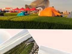 -南汇嘴观海公园