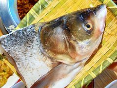 -铭记蛙小仙·活蛙畅享(CBD万达广场店)