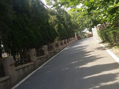 android_upload_pic-八大关景区