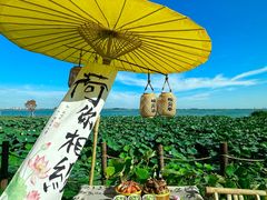 -七的湖·晚芳亭·阳澄湖农家菜·大闸蟹(莲花岛店)