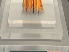 -温州博物馆