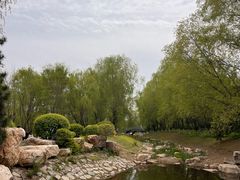 -莫子山公园
