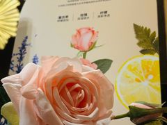 -莲泰式·中式·沐足·精油SPA采耳(天河店)