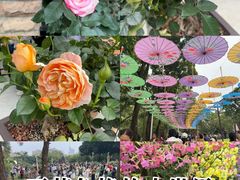 -人民公园(罗湖区)