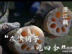 -滇铺子·云南特色菜·鲜花野菜季(曲靖万达店)