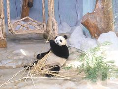 -海南热带野生动植物园