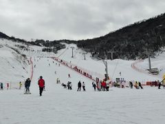 -太子岭滑雪场