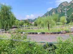 -大海别墅民宿农家院(十渡店)