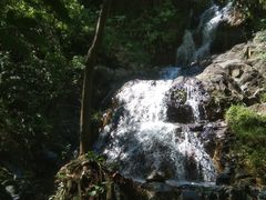 -羚羊峡古栈道森林公园