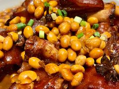 -鸽子窝(宋庄店)