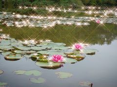 -白马涧龙池景区