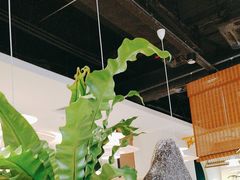 -腾龙阁|经典川菜(SM城市广场店)