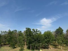 -西青郊野公园