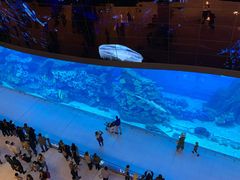 -迪拜水族馆及水下动物园