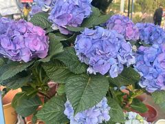 -甘肃国际会展中心