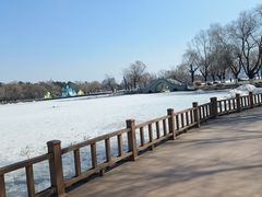 -长春市南湖公园